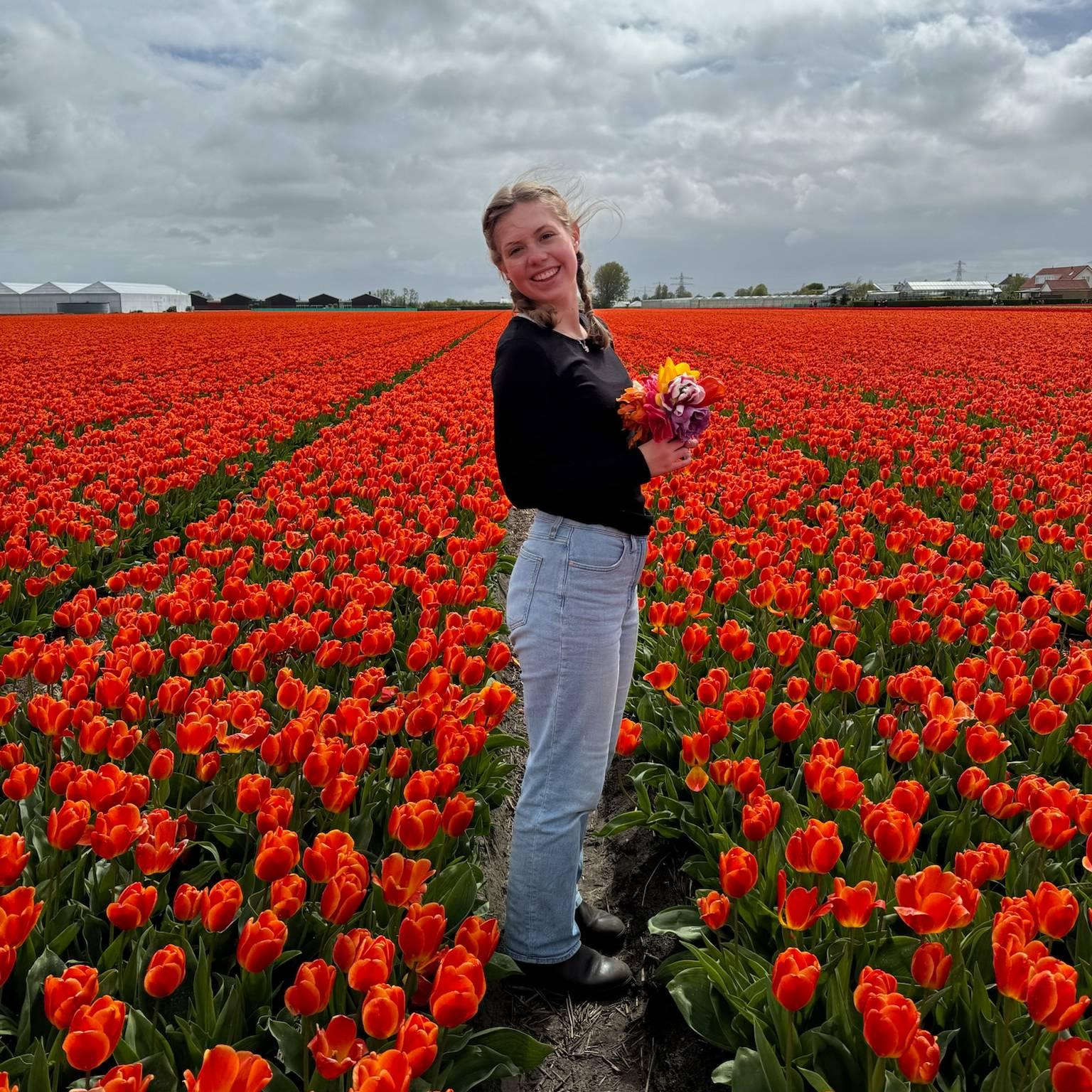 I+loved+exploring+the+Netherlands+and+especially+enjoyed+seeing+fields+of+beautiful+spring+tulips+this+spring.++++